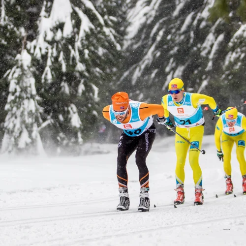 Jizerská padesátka - Isergebirgslauf 