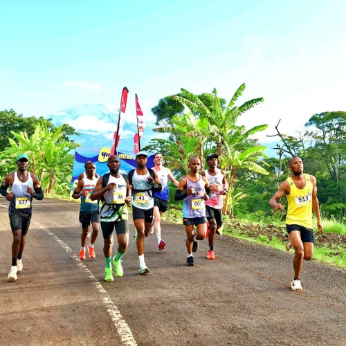 Auf zum Kilimanjaro-Marathon, auch mit Besteigung des höchsten Berges Afrikas