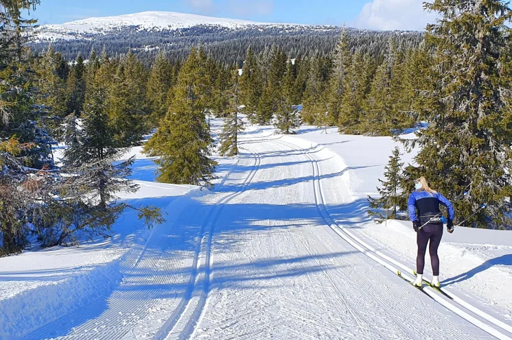 Perfekt um an den Tagen vor dem Lauf noch ein wenig den norwegischen Schnee zu testen :-)