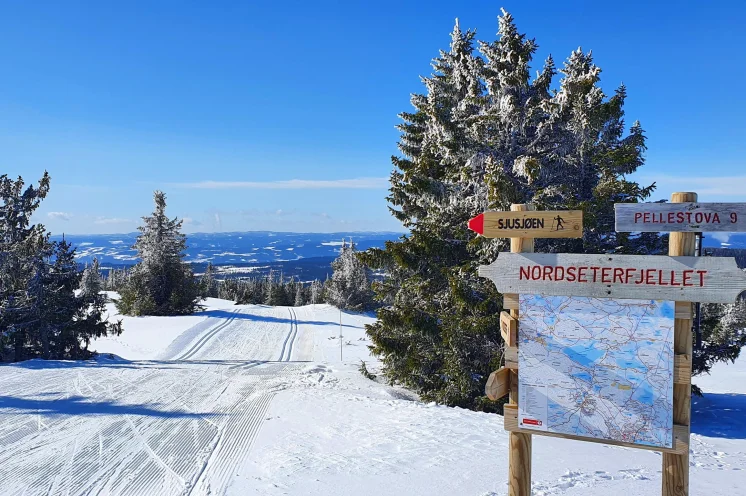 Ein Loipenparadies erwartet Sie direkt vor dem Hotel
