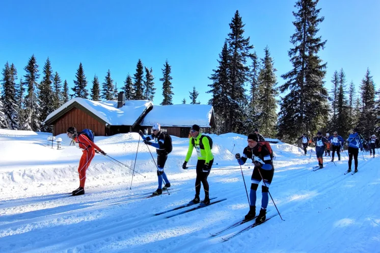 Alle Läufer/innen erwartet ein anspruchsvoller Lauf, auf den ersten 9 km sind mehr als 500 Höhenmeter zu meistern 