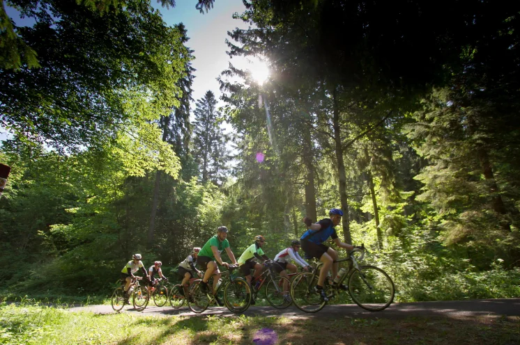 Oft finden sich leistungsstarke Gruppen auf den 315 km, hier gilt gemeinsam sind wir stark.