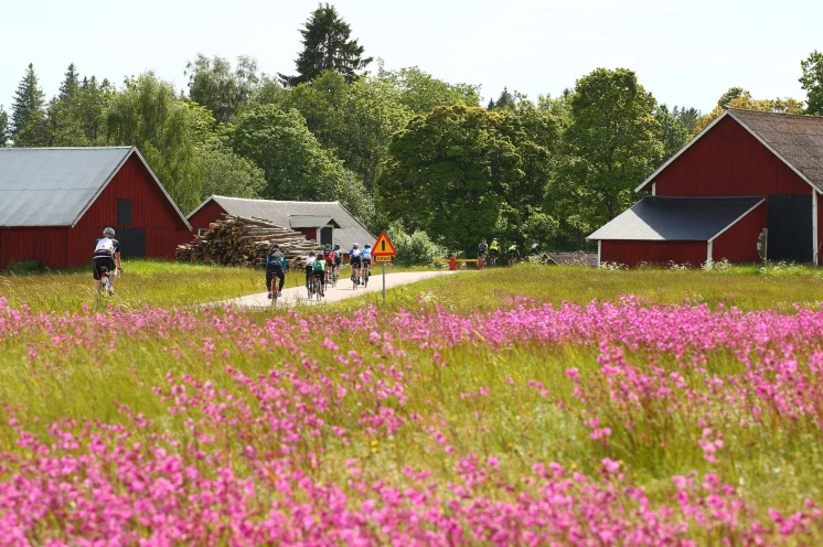 Augen auf und genießen!