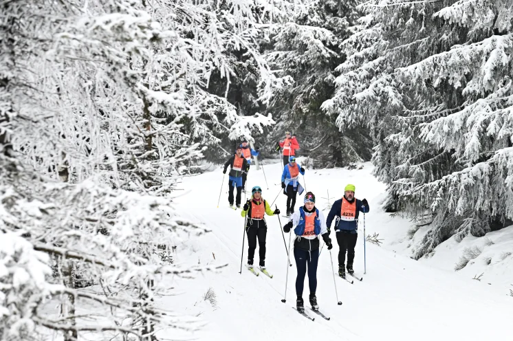 Neben dem 50er stehen auch Wettbewerbe über 10 & 25km (Samstag) zur Auswahl