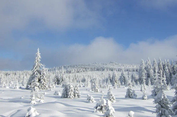 Damit vollzieht man die zweite Hälfte der Umrundung des Jizerka als zweithöchster Berg des Isergebirges (1122 m). 