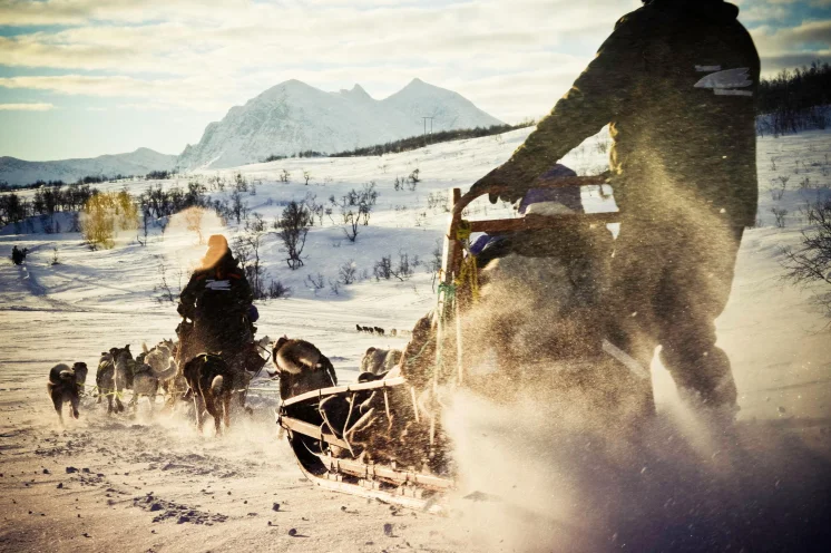 ...ein unvergessliches Erlebnis. Einmal selbst einen Hundeschlitten nördlich des Polarkreises lenken.