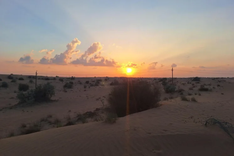 Verloren in der Weite der Wüste - auch Dubais endlose Sandmeere erkunden
