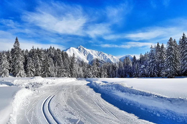 Die Skilanglaufcamps finden in einer atemberaubenden Naturkulisse statt