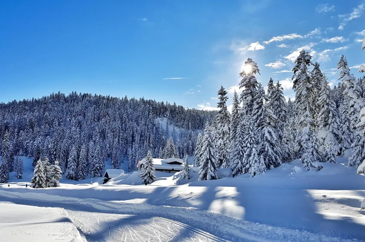 Von Leutasch aus sind es nur wenige Skilanglaufkilometer bis nach Seefeld, dem bekannten WM & Weltcup Ort
