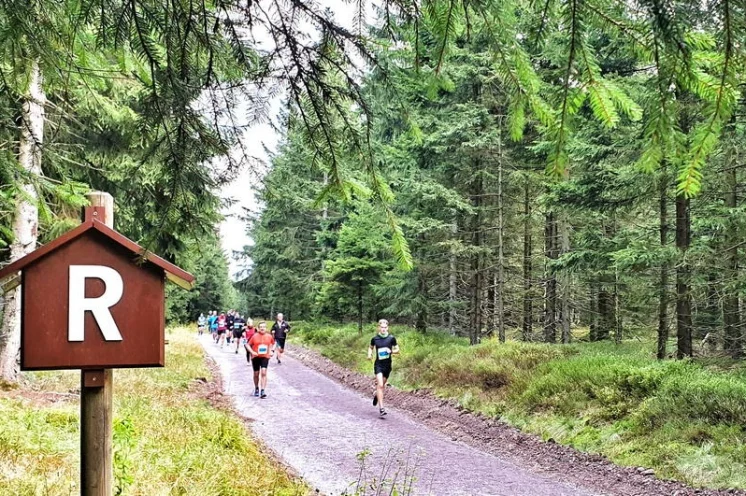 Das "R" für Rennsteig haben die Läufer und Walker immer im Blick