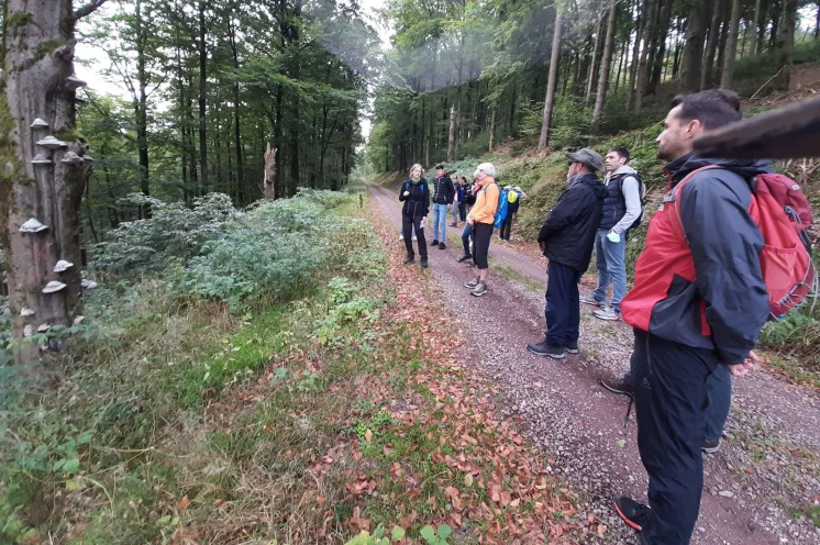 Wanderung (9,3 km) für Begleitpersonen mit Wanderleiterin Katrin nach Schmiedefeld