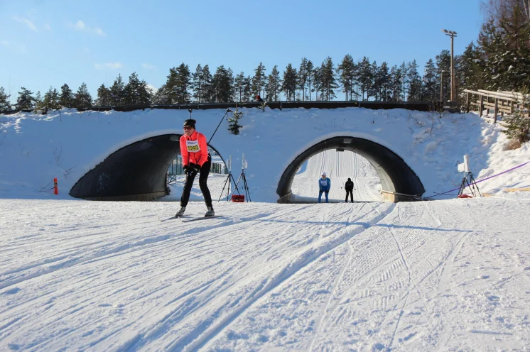 Finlandia: Kurz vor Schluß erwartet die Skimarathonis eine rasante Abfahrt