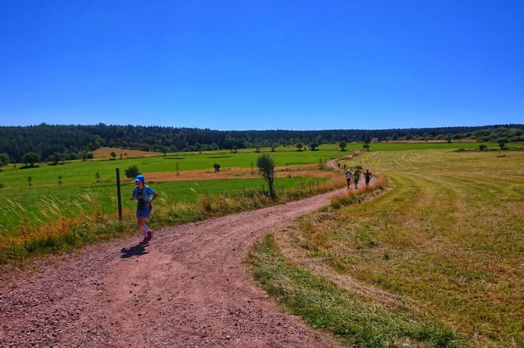 Im Sommer durch das Osterzgebirge laufen. Einfach herrlich. 