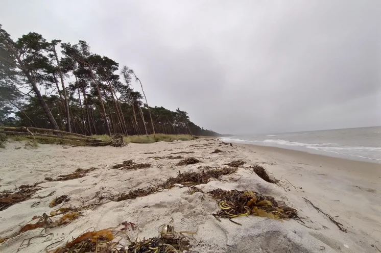 Rau, einsam im Winter und wunderschön: der Weststrand - wir kommen hin.