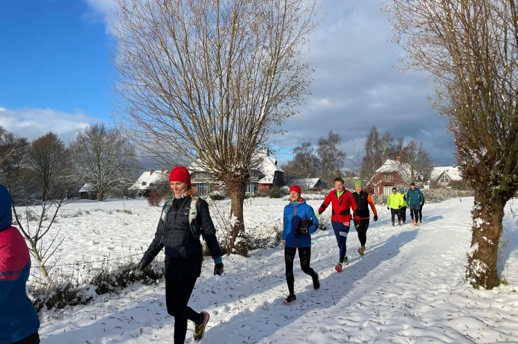 Winterlicher Darß 2023: Schönste Naturläufe und...