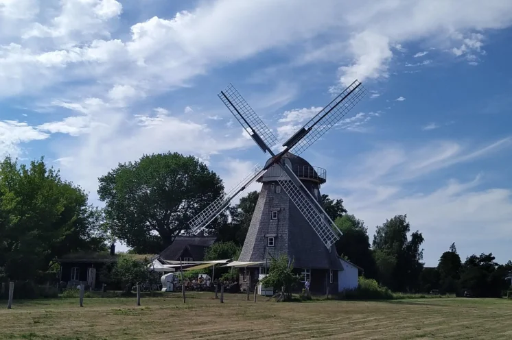 Die Mühle im Künstlerort Ahrenshoop - ein Besuch bei der An- oder Rückreise sehr empfehlenswert.
