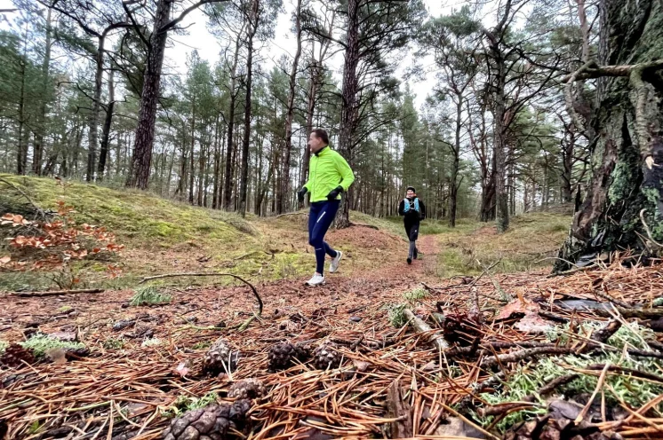 Unser Auftaktläufchen am Freitagnachmittag führt ein Stück durch den Darßer Wald bis zum Strand.