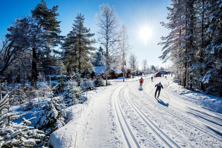 Das Streckenprofil ist insgesamt recht flach abfallend, aber auch mit einigen Anstiegen gespickt. Insgesamt sind fast 1000 Höhenmeter zu überwinden