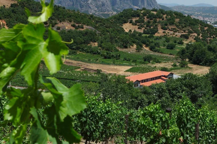 Das i-Tüpfelchen ist ein Weingutbeuch mit Verkostung