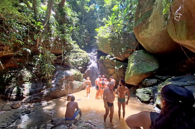 Tijuca Nationalpark - die gürne Lunge von Rio