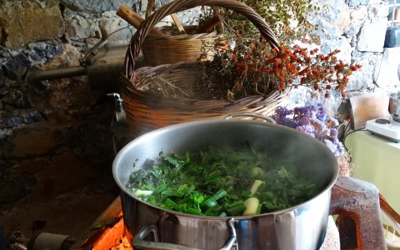 Kreta's Wildgemüse finden und gemeinsam zubereiten