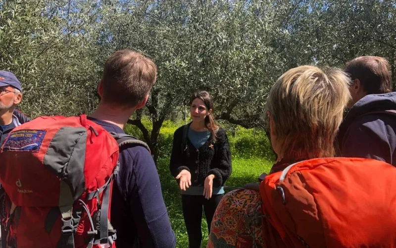 Wanderung zum Dorf Mithi und Olivenöl-Exkurs