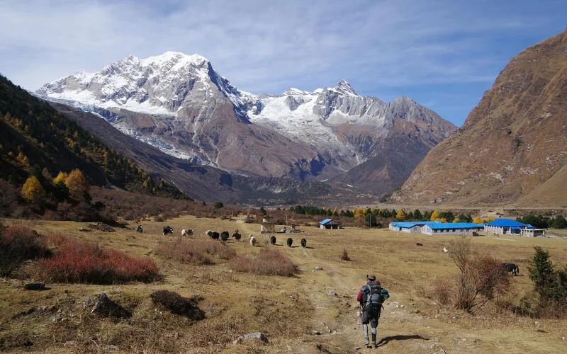 Trekking nach Samdo (3.870 m) und optionale Akklimatisations-Tour