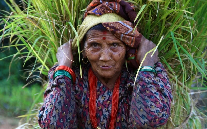 Trekking hinab bis Thimbu (1.580 m) und Fahrt nach Kathmandu