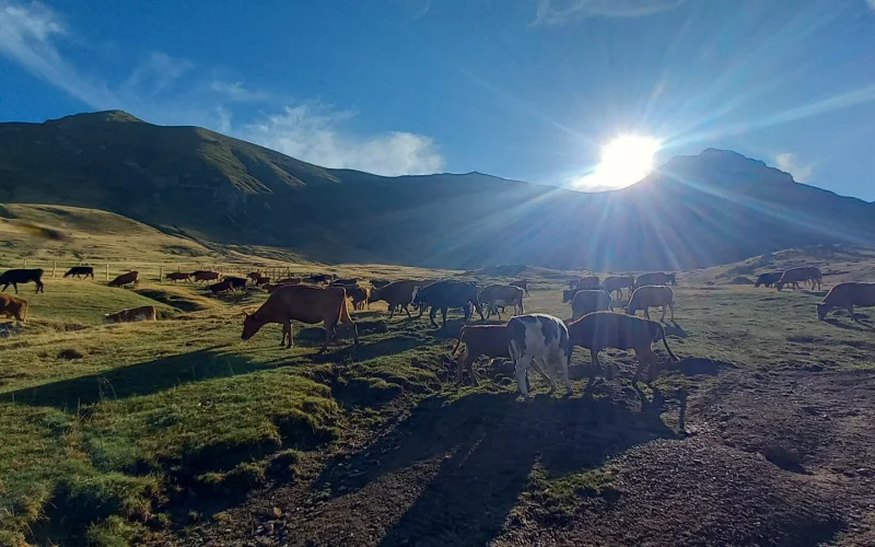 Albanien–Kosovo: Auf den Gjeravica, den höchsten Berg des Kosovo