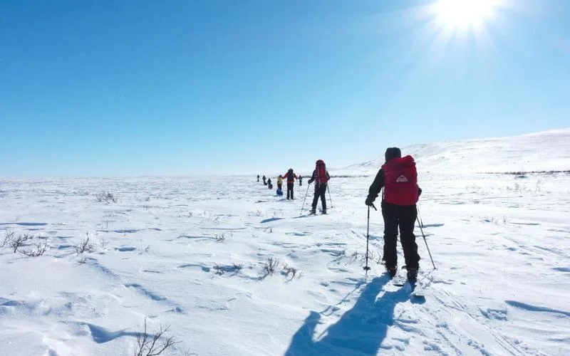 Skiwanderung zur zweiten Wildnishütte mit Mittag unter Bäumen