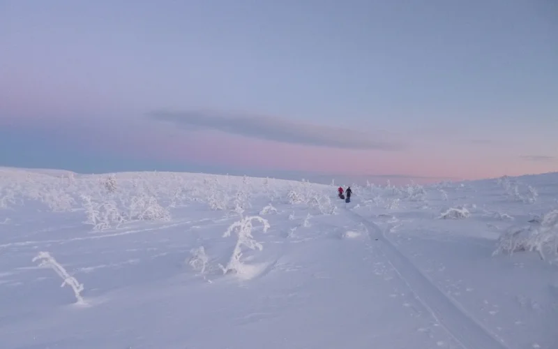 Skiwanderung zur zweiten Wildnishütte