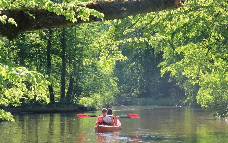Paddeltour nach Zgon und Wanderung im Reservat „Königliche Kiefern“