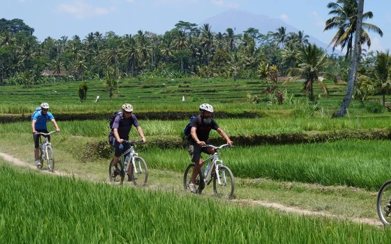 Radtour zwischen Reisfeldern bei Ubud und Besuch des Tanztheaters