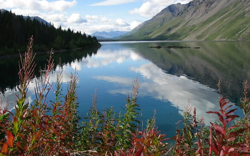 Wandertage im Kluane-Nationalpark