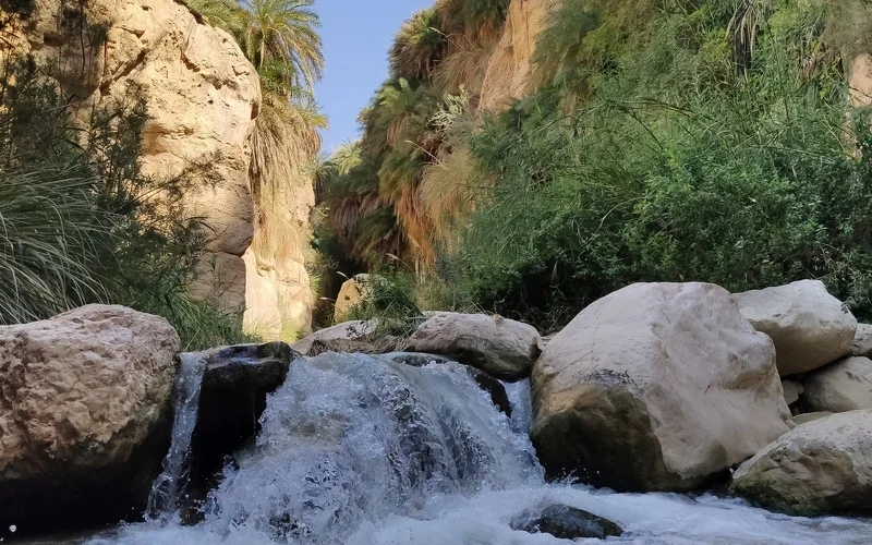 Vom Berg Nebo über das Wadi Bin Hammad in den Nationalpark Dana