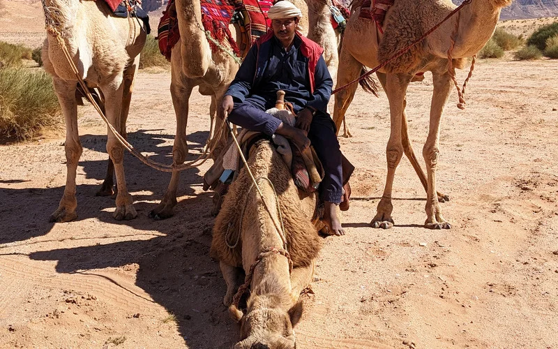 Spektakuläres, mehrtägiges Kameltrekking im Wadi Rum