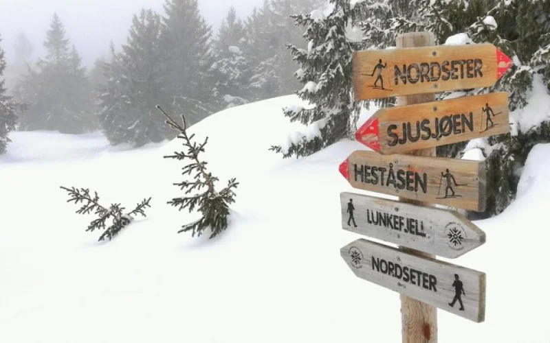 Abschlussrunde in der Loipe, Flughafentransfer nach Oslo, Heimreise
