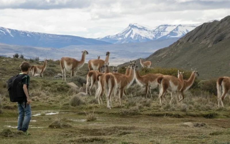 Wanderung am Lago Grey im Nationalpark Torres del Paine