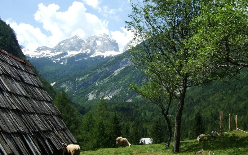 Zeit zur freien Verfügung und Besuch eines Bergdorfes