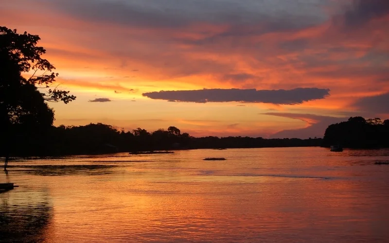  Amazonas-Dschungelwanderung mit Heilpflanzenkunde