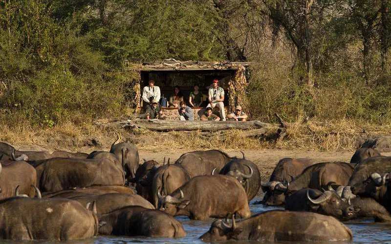Walking Safari, Zeit zur Entspannung und Pirschfahrt 