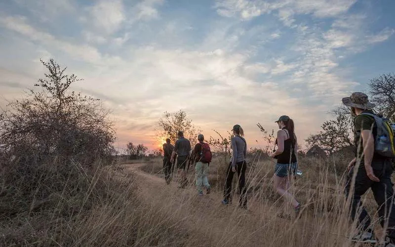 Walking Safari, Zeit zur Entspannung und Pirschfahrt 