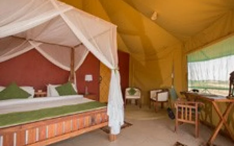 Safari im Ngorongoro-Krater, der größten intakten Caldera der Welt