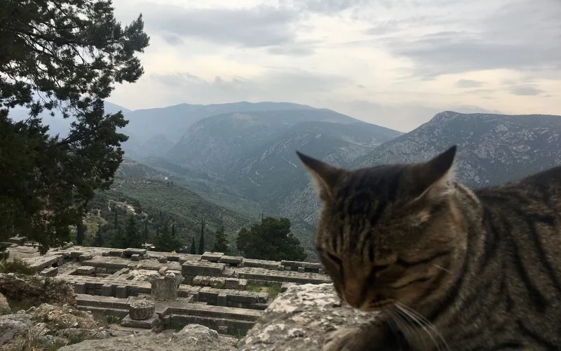 Beginn der Kulturverlängerung, Orakel von Delphi und Küstenstädtchen Itea