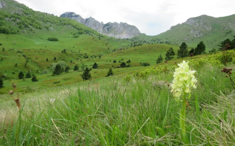 Wanderung in den Čvrsnica-Bergen