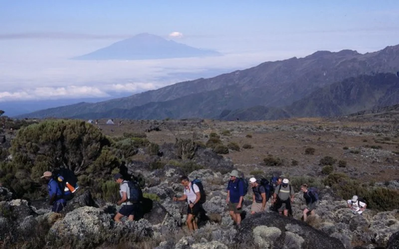 Auf den Höhen des Shira-Plateaus zum Shira Camp 2