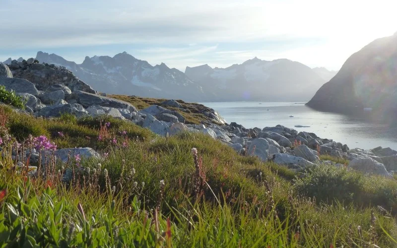  Ruhetag oder Wanderung ins Blumental