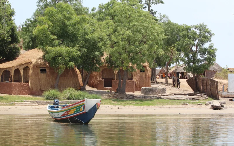 Fahrt ins Sine-Saloum-Delta und Übernachtung in einer Eco-Lodge
