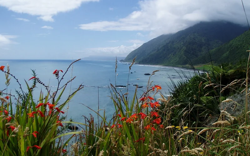 Fahrt von Hokitika nach Haast im Westland-Nationalpark
