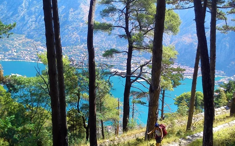 Montenegro: Wanderung auf den Aussichtsberg Vrmac und Bad im Meer